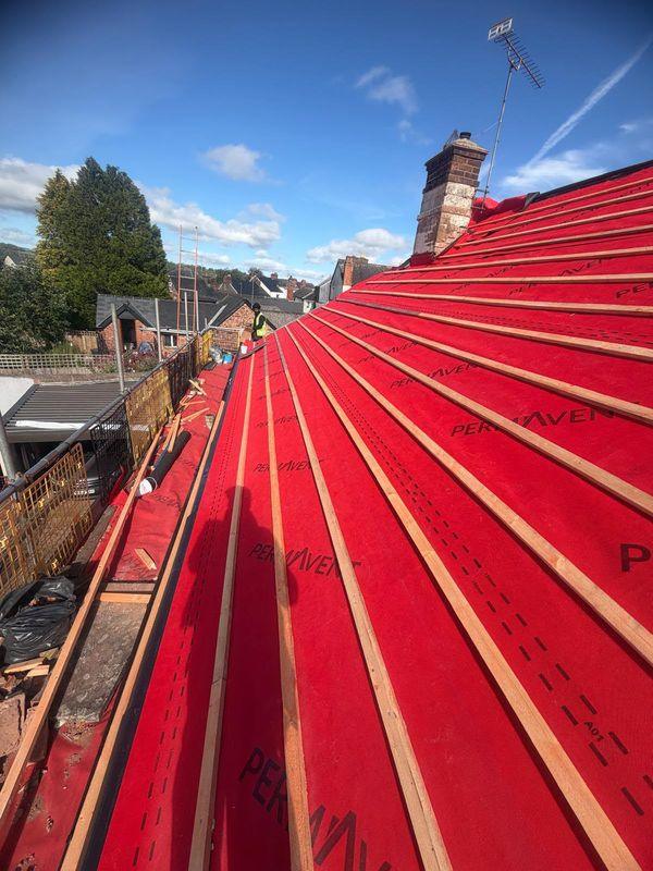 Tiling in progress over red membrane